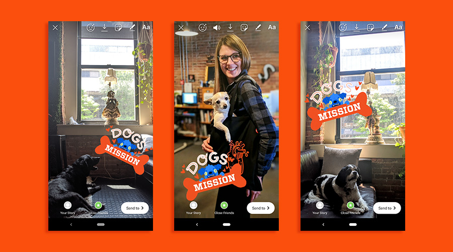 three instagram stories using branded dogs at mission giphy stickers