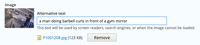 Screenshot of Drupal Alt Text Interface