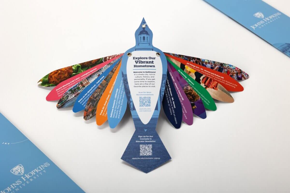 Johns Hopkins Blue Jay Interactive Activity Guide