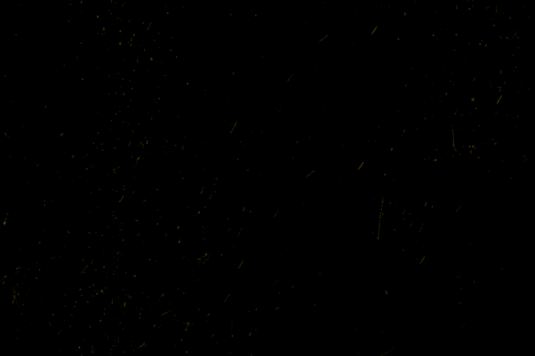 GIF of tagline appearing word by word: Hungry. Powerful. Relentless.
