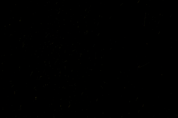 Animation of product name.
