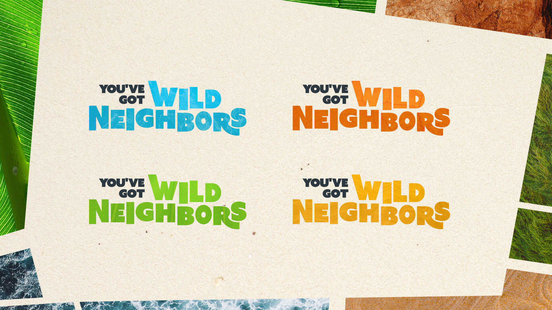 Color exploration of the campaign tagline in blue, orange, green, and yellow.