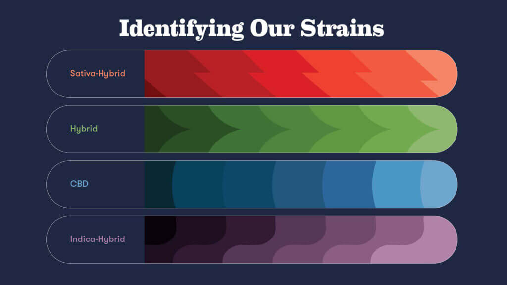 Infographic on Evermore’s strains: Sativa-Hybrid, Hybrid, CBD, and Indica-Hybrid.
