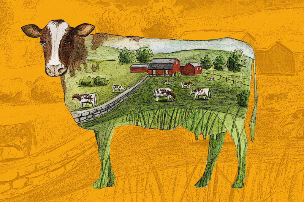Illustration of cow with farm scene in the body
