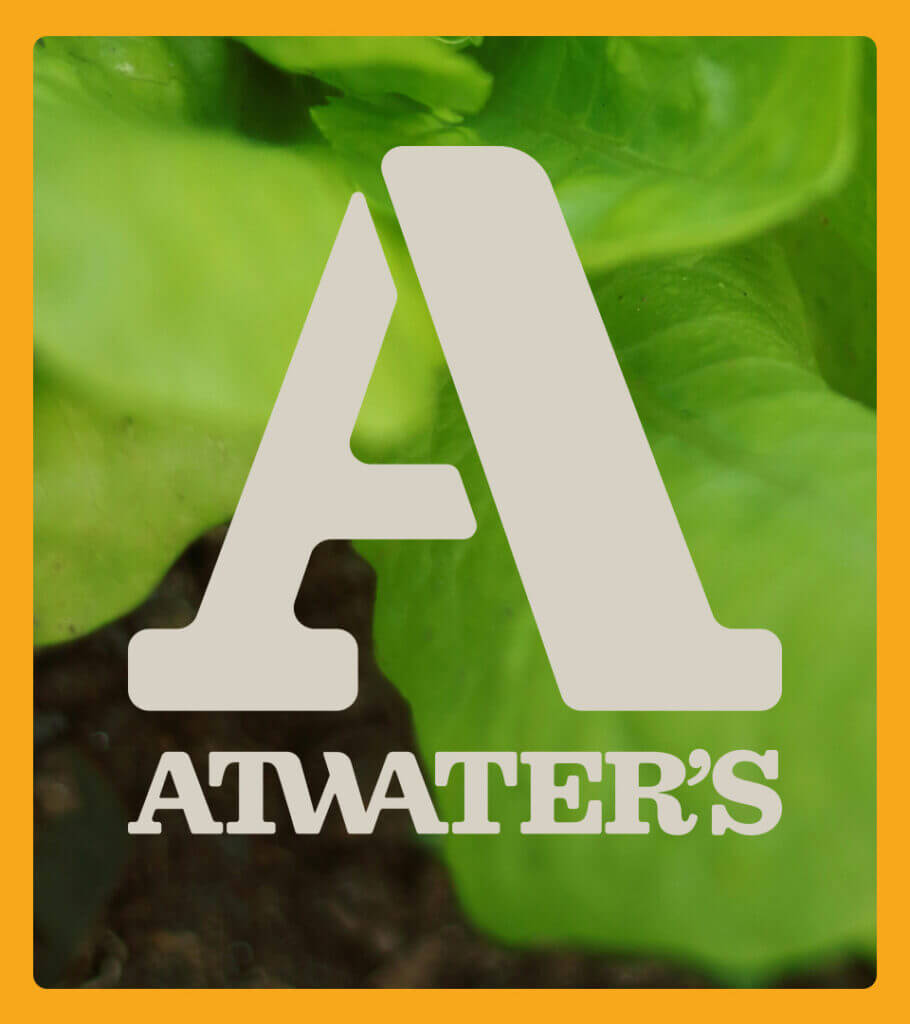 Atwater’s logo and wordmark overlaid on leaf
