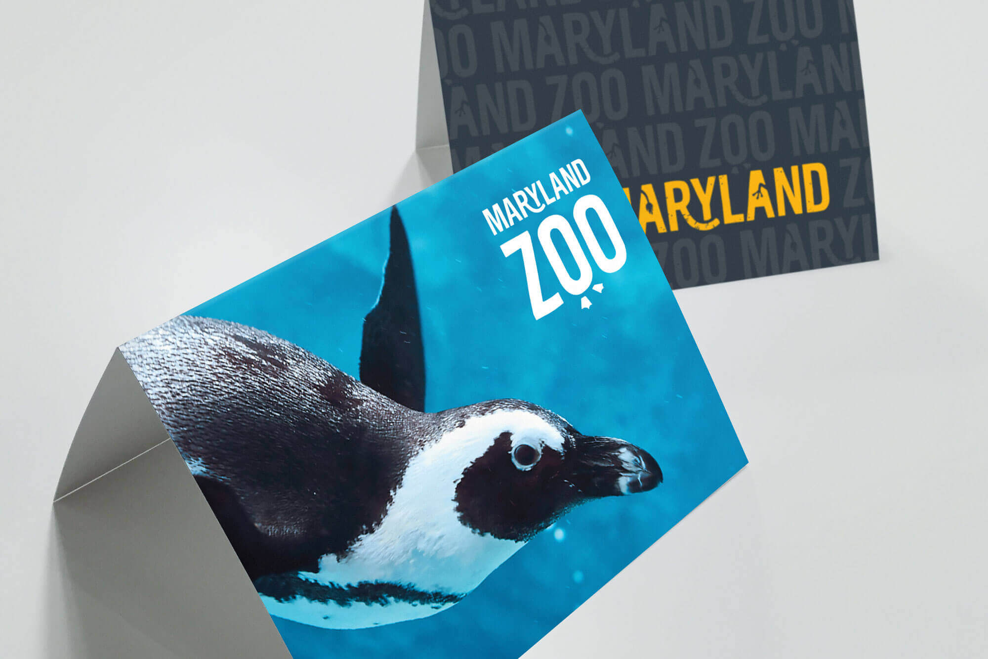 A printed piece of marketing collateral with a picture of a swimming penguin on one side and the Maryland Zoo logo repeated on the other.