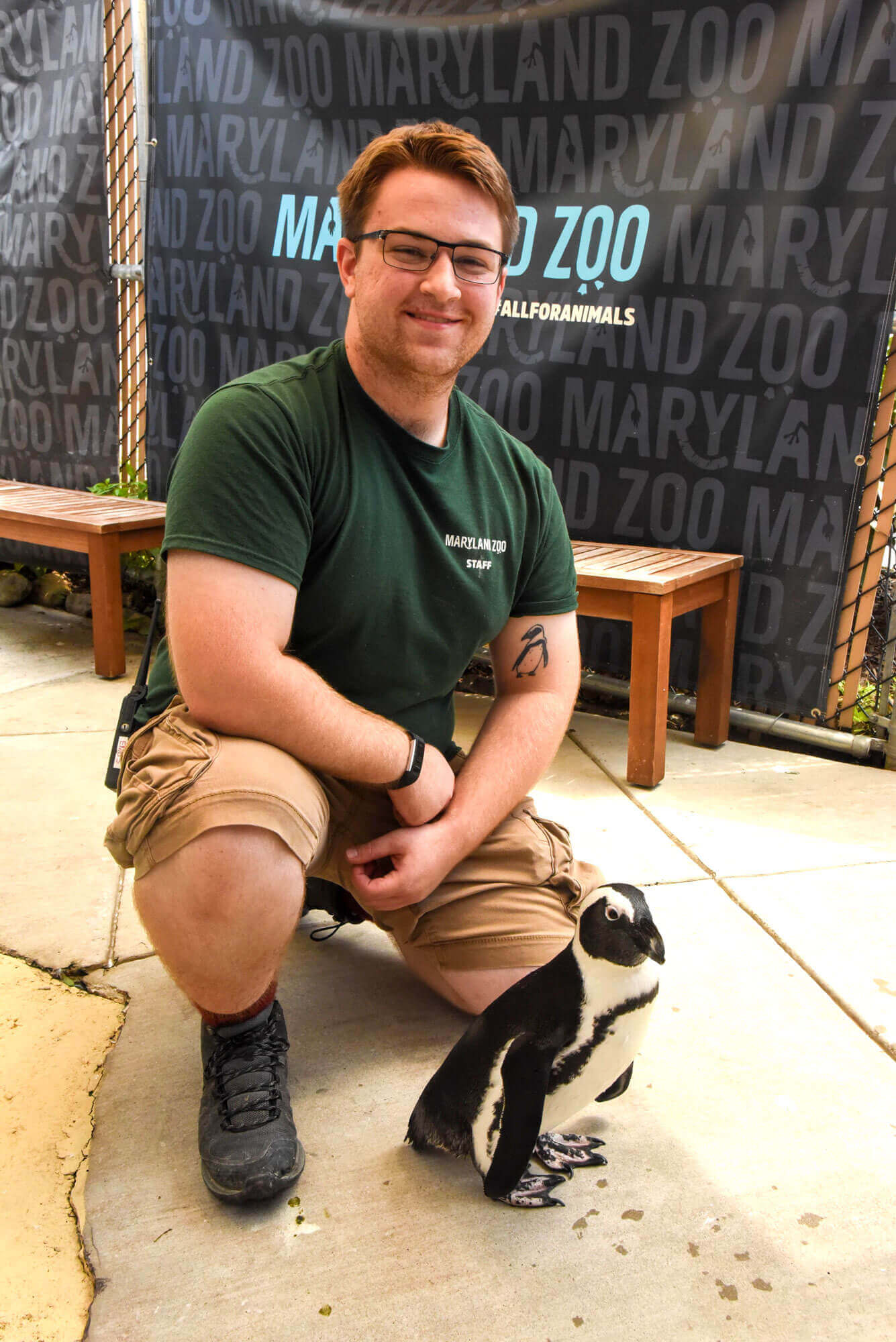A Maryland Zoo employee poses alongside a penguin.