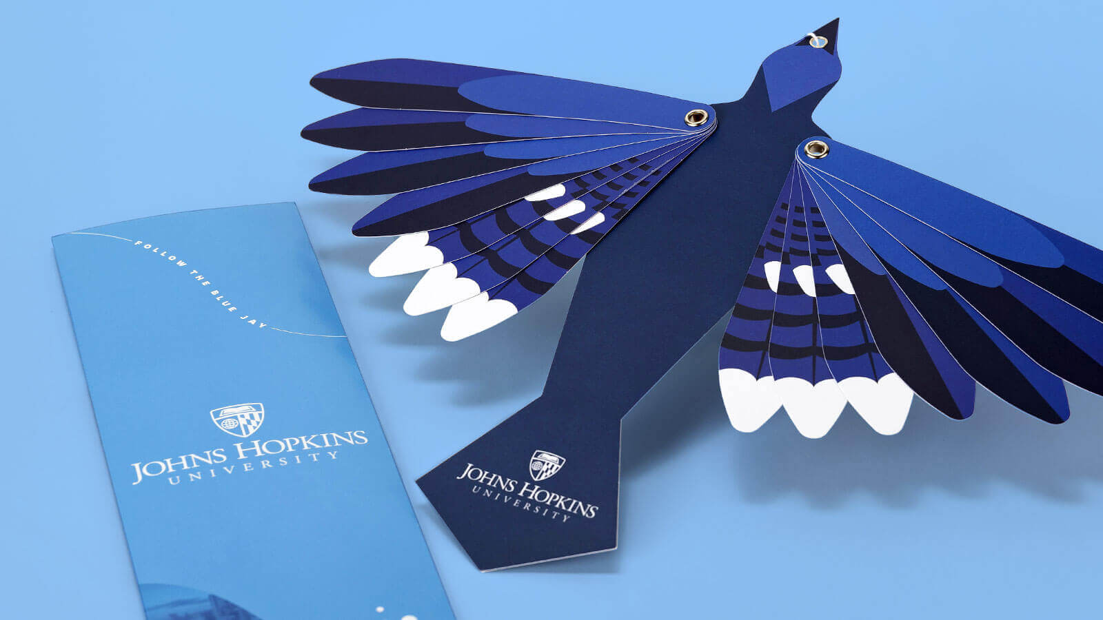 A top-side view of the bird mailer, with the feathers partially spread to show feather details.