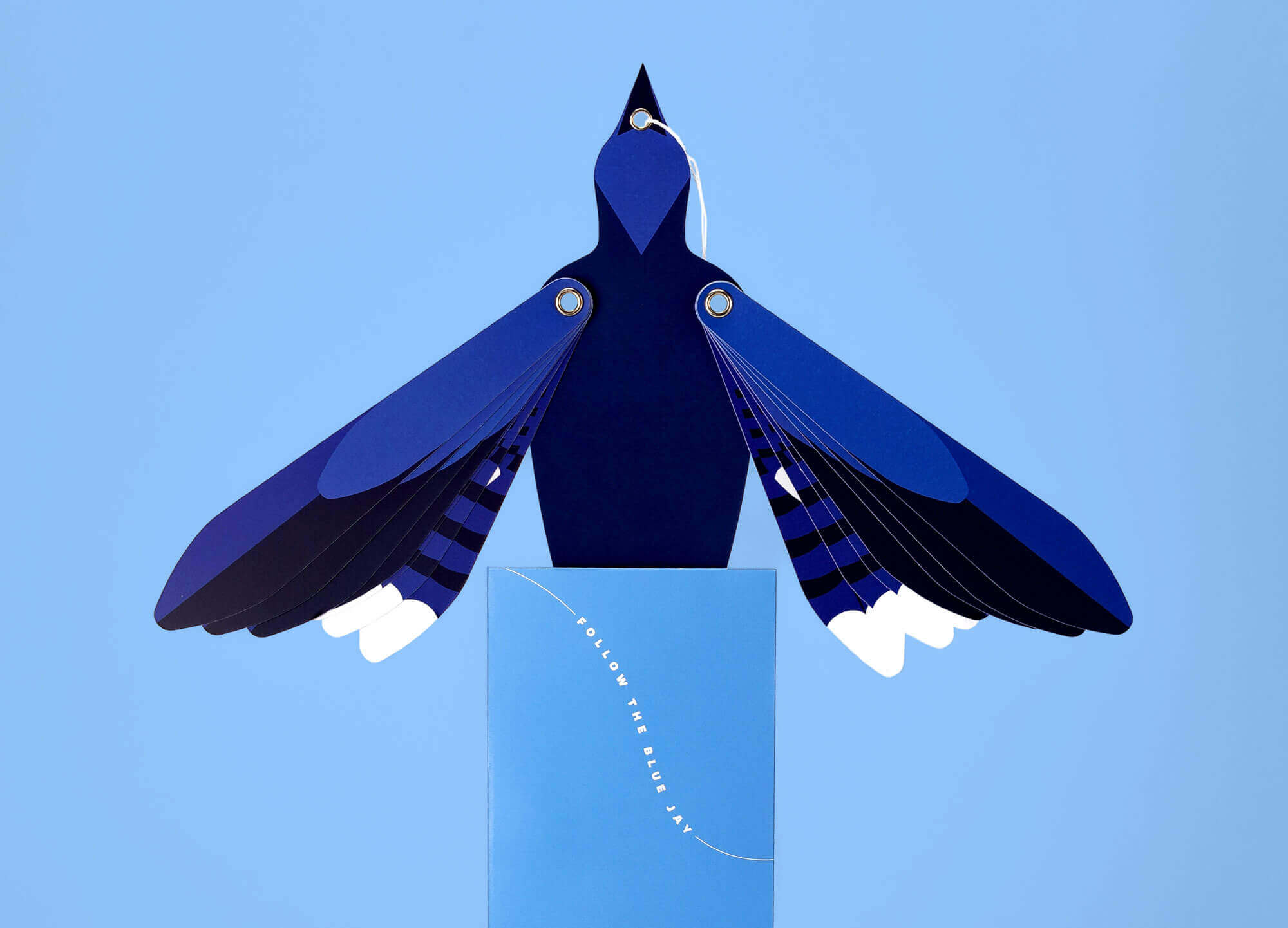 The bird mailer coming out of mailer sleeve.