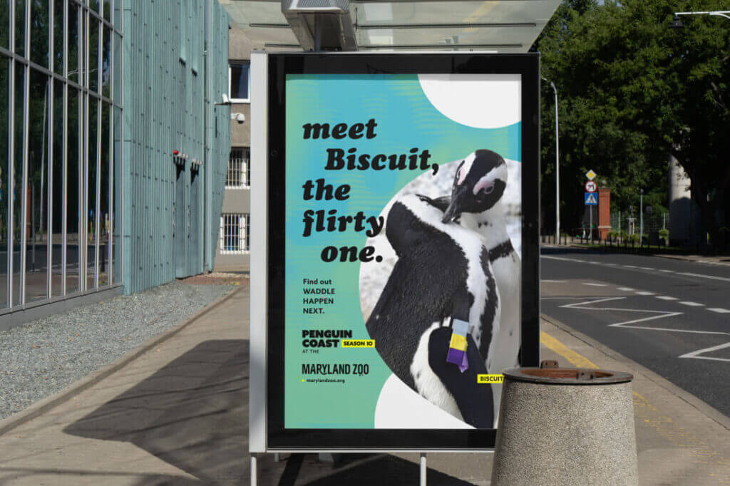 bus station ad saying 'Meet Biscuit, the flirty one.'