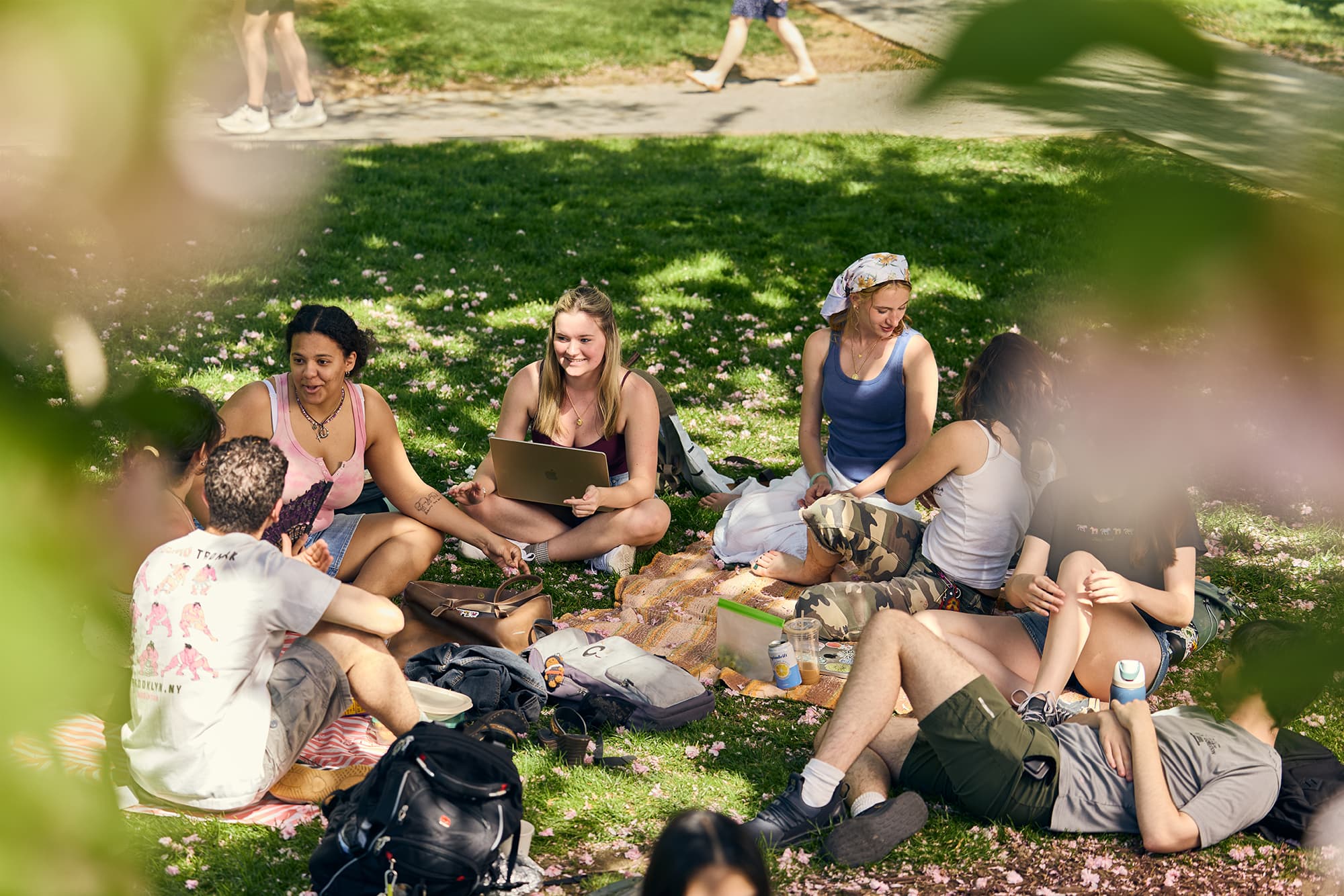 A group of college students relaxing together on a blanket spread out across a grassy campus quad scattered with fallen pink flower petals.