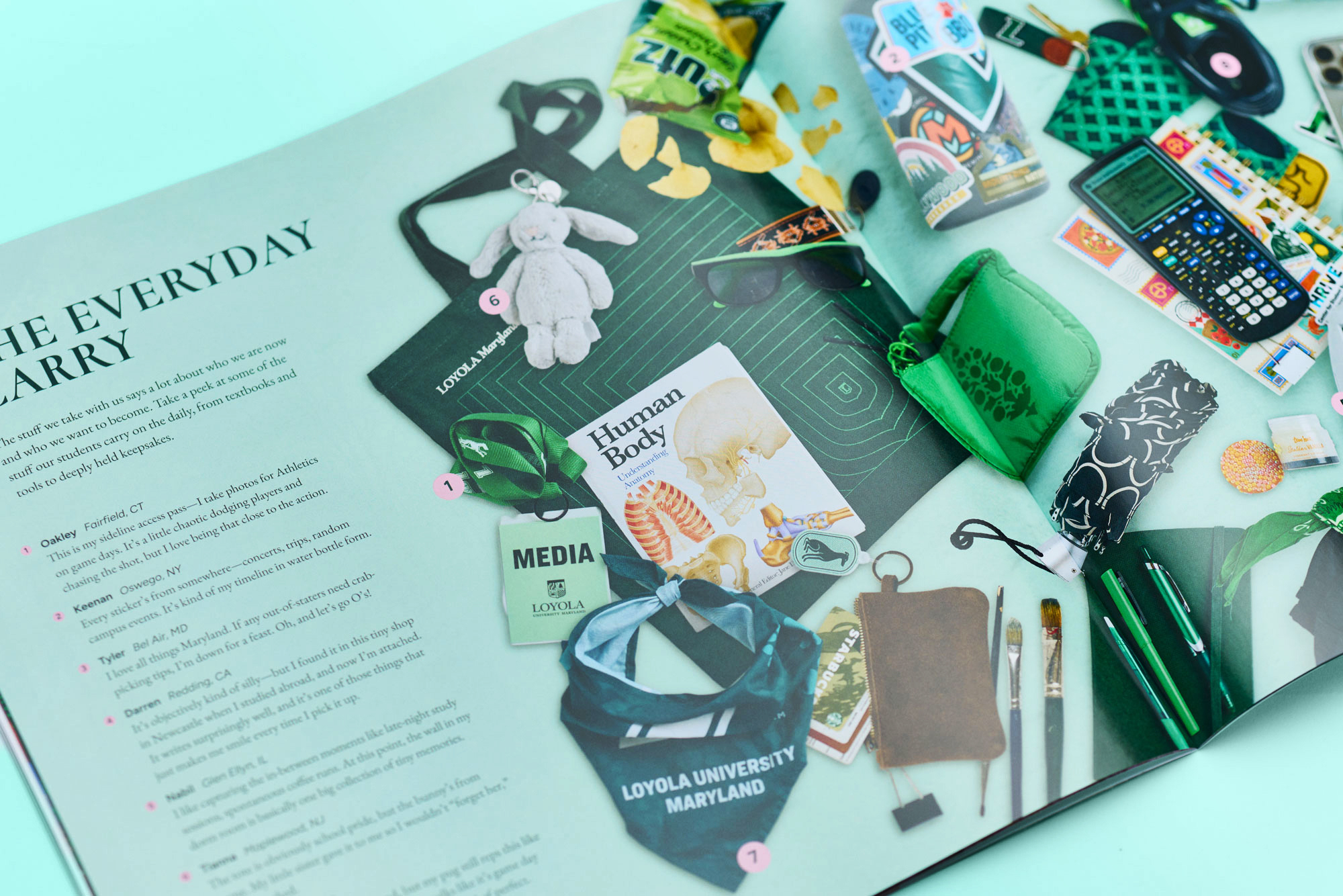 Flat-lay layout of 
